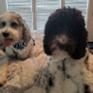 Meet your Posher, Brandie